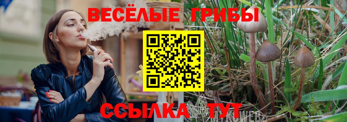 Псилоцибиновые грибы ЛСД  Вход с VPN  Сальск  Галлюциногенные грибы GOLDEN TEACHER 