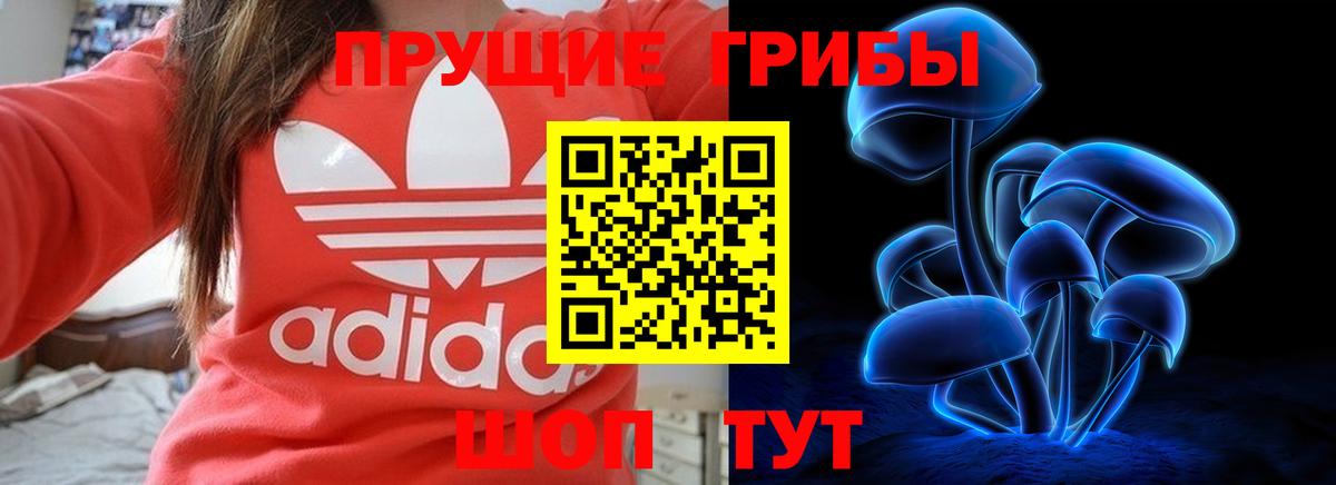 Псилоцибиновые грибы ЛСД Сальск